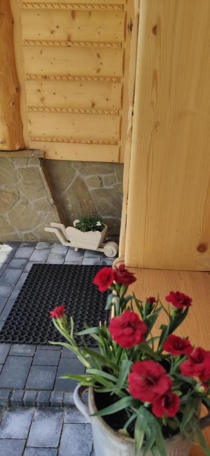 Góralskie Domki na Podhalu Maniowy Zewnętrze zdjęcie